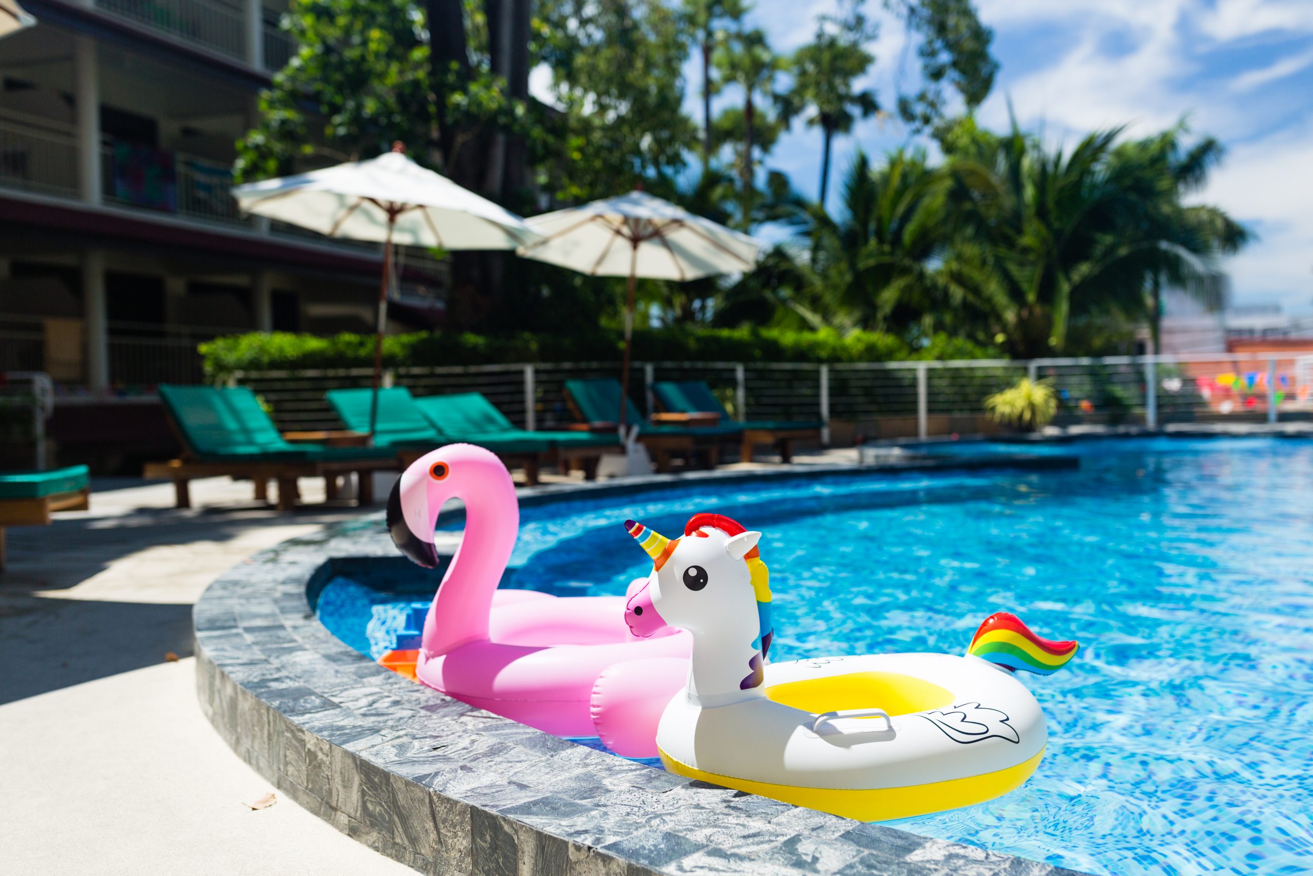 Flamingo and Unicorn Floaties in Pool