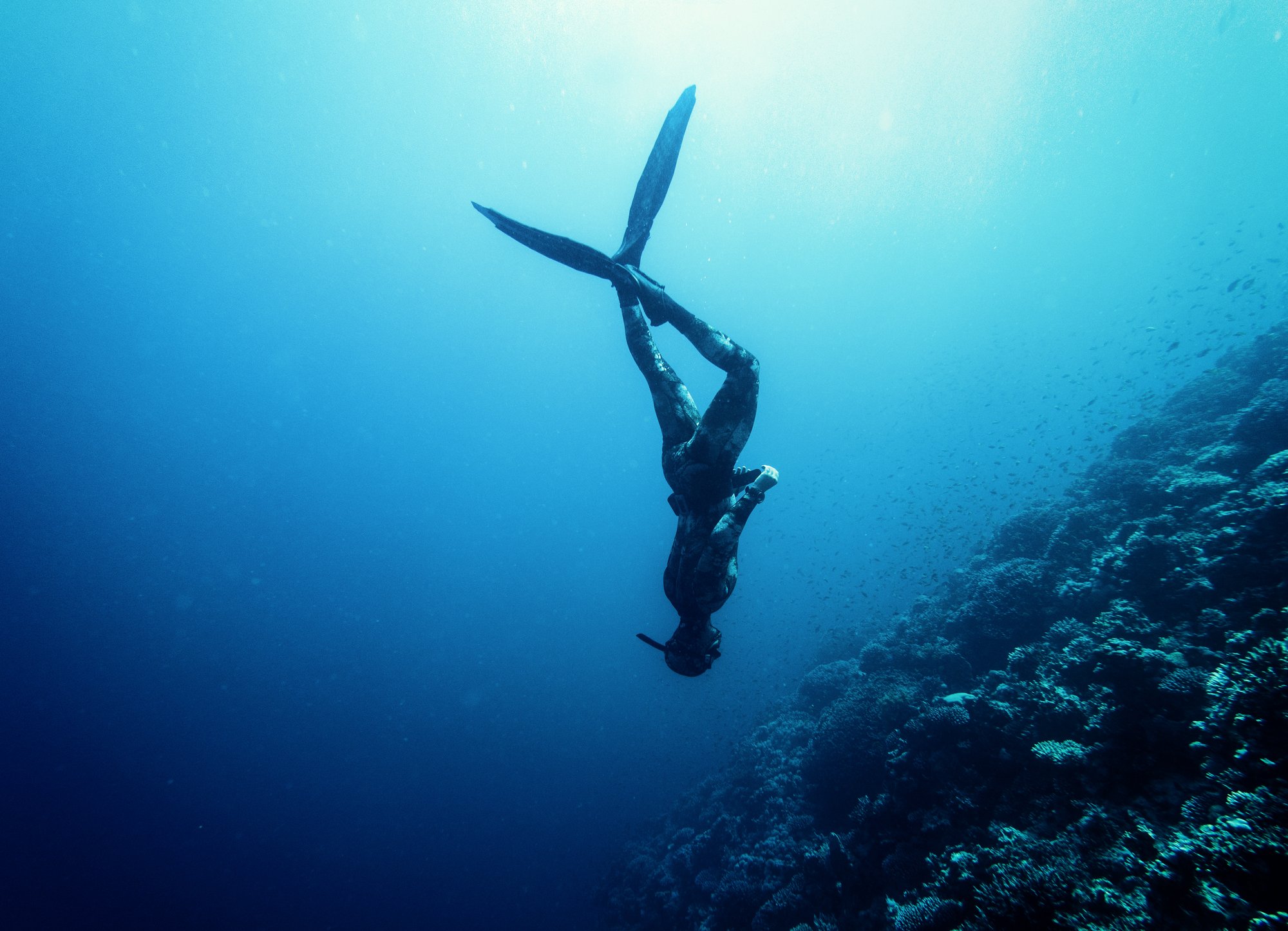 free diver swimming in the sea