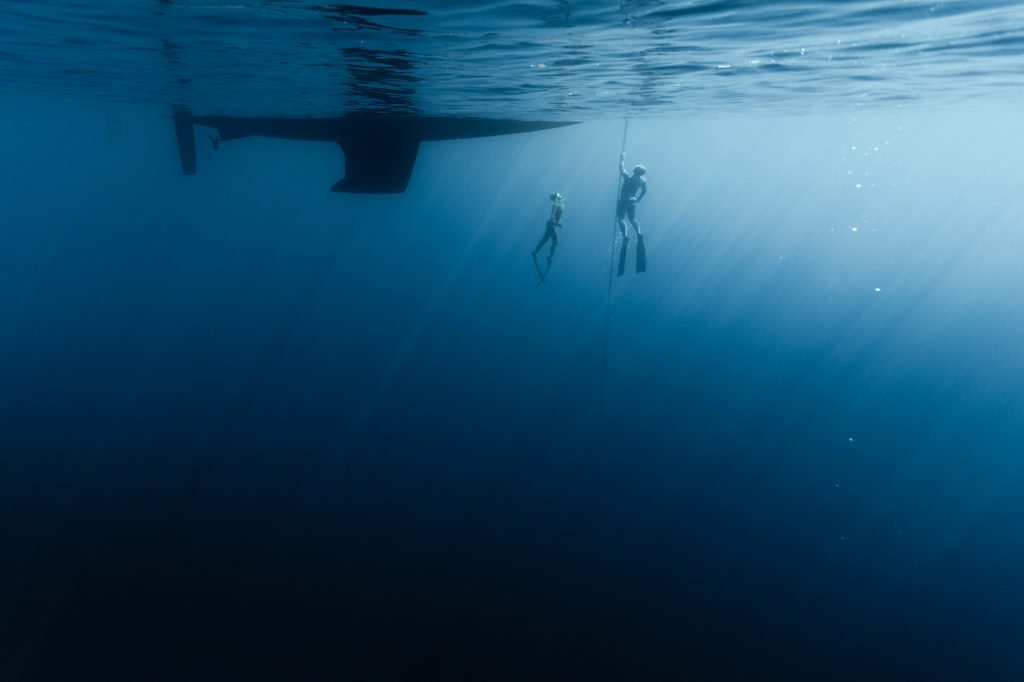 free divers in the ocean