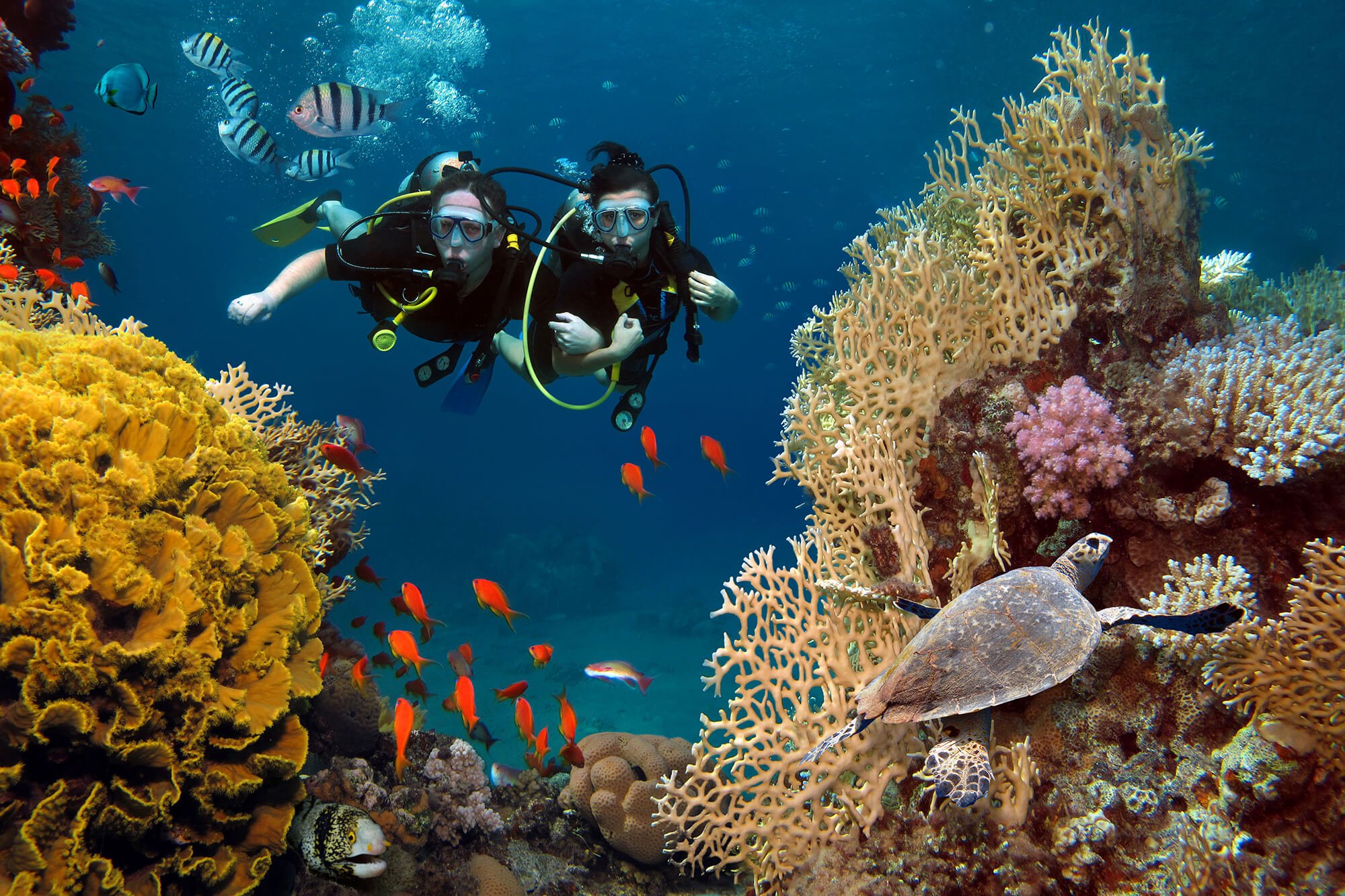 scuba diving tour maui